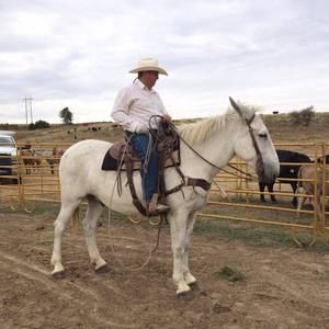 Meet your Posher, Gary